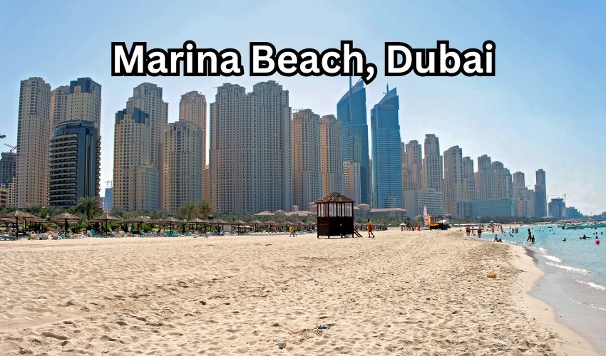 How to Go Marina Beach by Metro